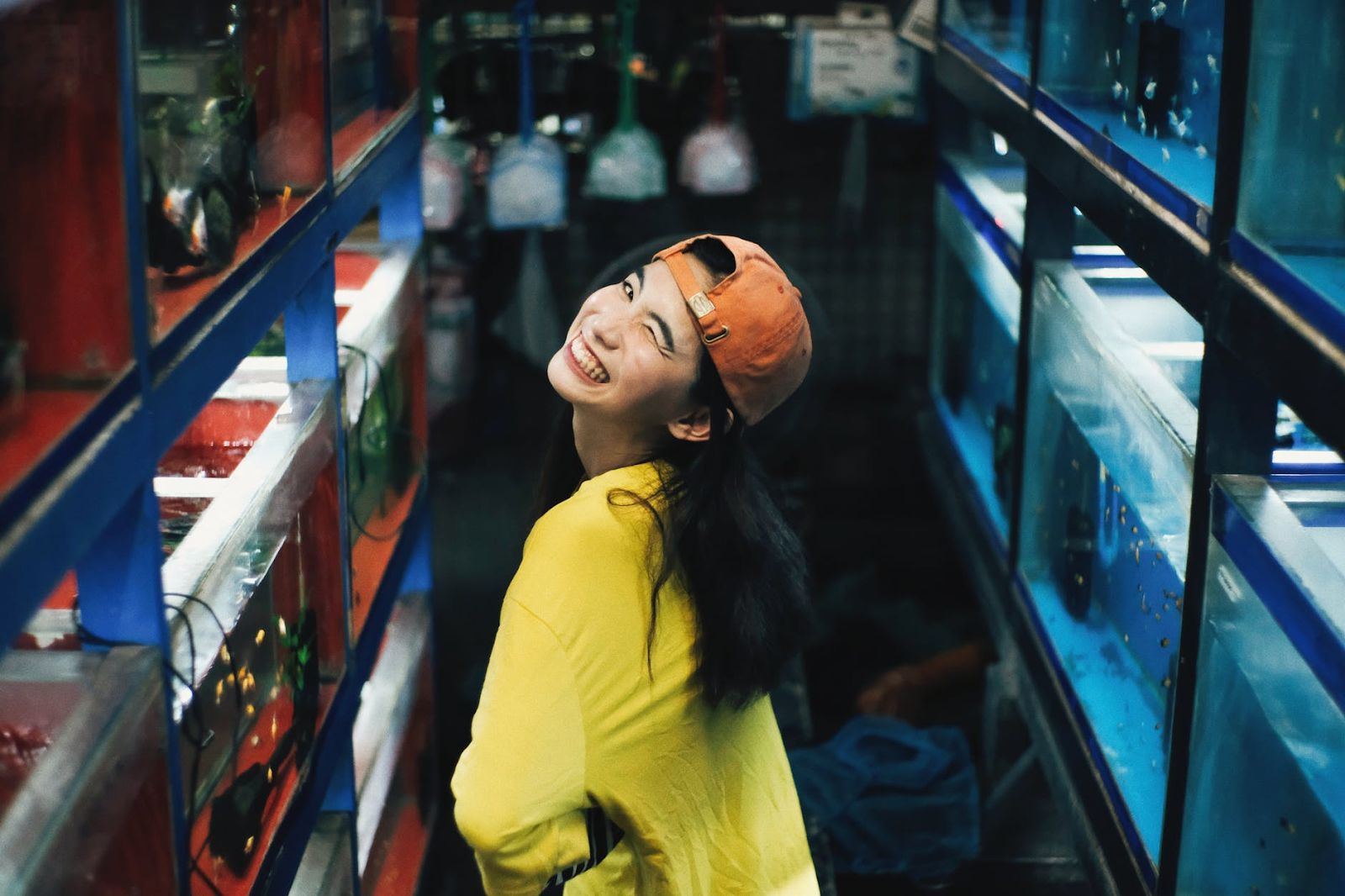 Safety Tips For Fish Tanks At Home